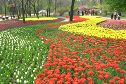 瀋陽市植物園