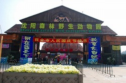 氷川動物楽園(瀋陽市森林野生動物園)
