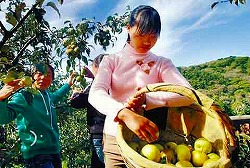 瀋陽国家森林公園