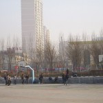 体育公園の広場