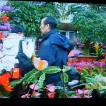 瀋陽北市「花卉（かき）市場」