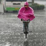 今年瀋陽は雨が多く気温が低い